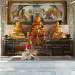 タイ・チェンマイの寺院　ワット・チェン・マン Wat Chiang Man　犬
