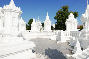 ワット・スアン・ドーク Wat Suan Dok (Wat Bubharam)　白い薔薇