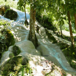 ネバネバ滝と虹色の泉 〜Bua Thong Waterfall and Jedsee Fountain Forest 国立公園〜
